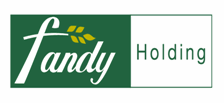Fandy Group