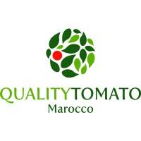Quality Tomato Maroc